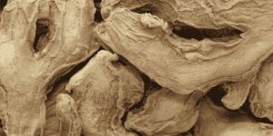 Dehydrated Ginger