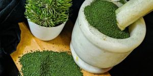 Organic Spirulina Powder