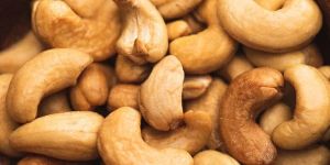 Cashew