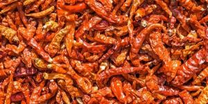 Red Chilli