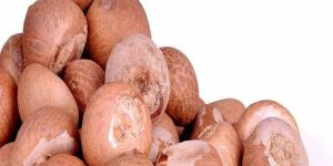Betel Nuts