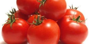 Red Tomato