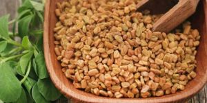 Fenugreek Seed