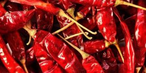 Red Chilli