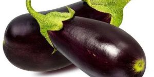 Fresh Eggplant