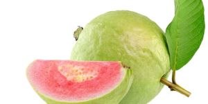 Fresh Guava