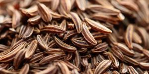 Brown Cumin Seed