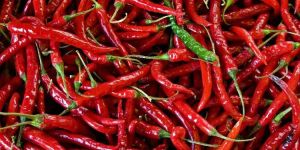 Dried Red Chili Pepper