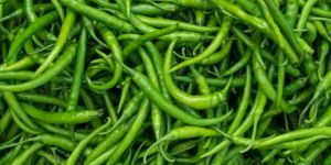 G4 Green Chilli
