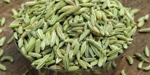 Organic Fennel Seeds