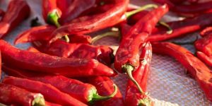 Red Chilli