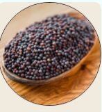 Mustard Seeds