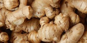 Organic Ginger