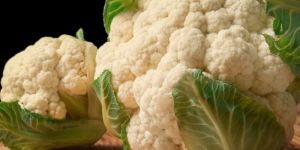 Fresh Cauliflower