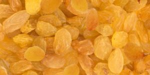 Golden Raisins