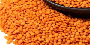 Red Masoor Dal