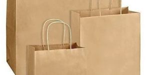 Plain Kraft Paper Bag