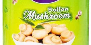 Button Mushroom 800 G