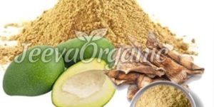 Organic Mango Powder