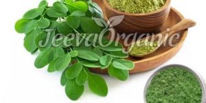 Organic Moringa Powder