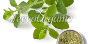 Organic Oregano Powder