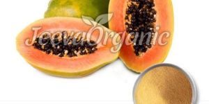 Organic Papaya Powder