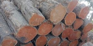 Segun Wood Logs