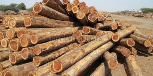 Teak Wood Logs