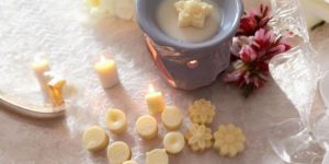 Highly Scented Wax Melts