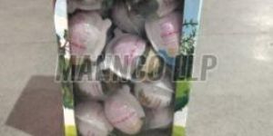 safari world cream chocolate balls