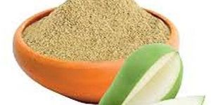 Spray Dried Mango Powder