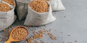 Fenugreek Seed