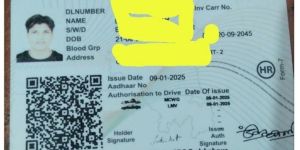 Driver License Service
