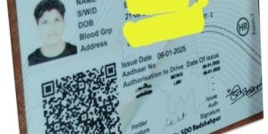 Driving License Consultancy Service