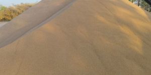10/20 Grade Ordinary/normal Sand