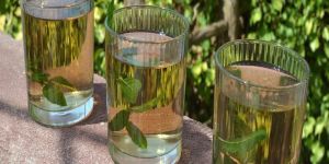 Pudina Distilled Water