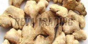 Dry Ginger