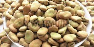 Fava Beans