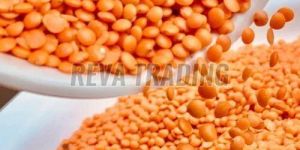 Red Masoor Dal