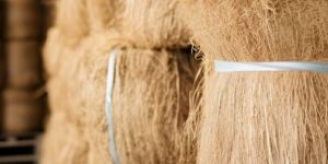 Coir Fibre Bale