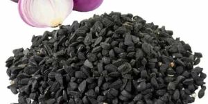 Poona Fursungi Red Onion Seed