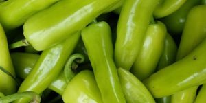 Fresh Green Chilli