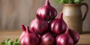 Fresh Red Onion