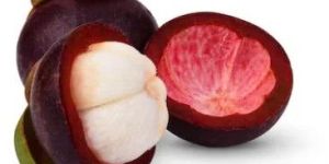 Fresh Mangosteen