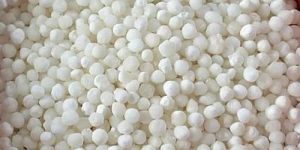 Round White Sabudana