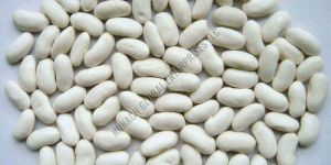 White Kidney Beans