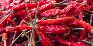 Red Chilli (Lal Mirch)