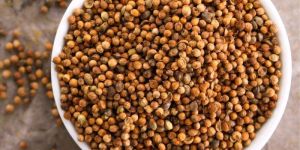 Whole Coriander Seeds (Dhania)