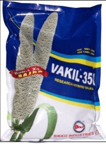 VAKIL-350 BAJRA SEEDS