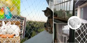 Pets Safety Nets